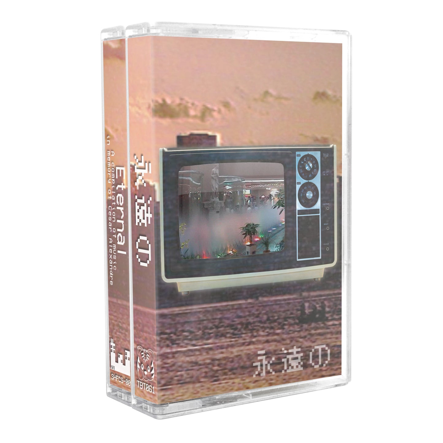 Various Artists - "永遠の (Eternal)" Limited Edition Double Cassette Tape Boxset