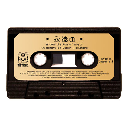 Various Artists - "永遠の (Eternal)" Limited Edition Double Cassette Tape Boxset